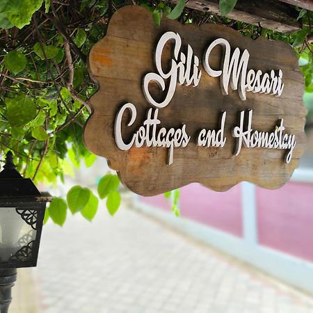 Gili Mesari Cottages & Homestay Gili Trawangan Buitenkant foto