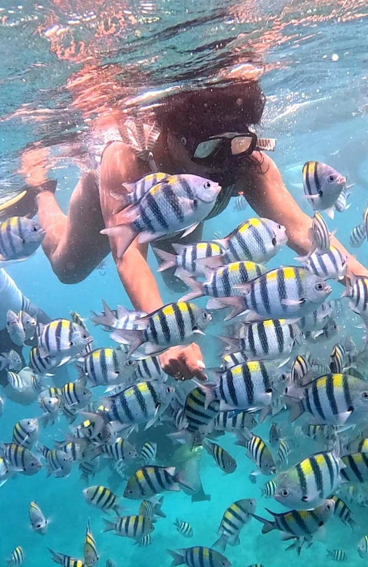 Gili Mesari Cottages & Homestay Gili Trawangan Buitenkant foto